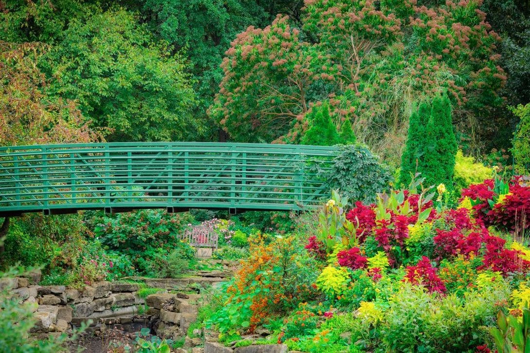 Préparer son jardin pour le printemps en douceur