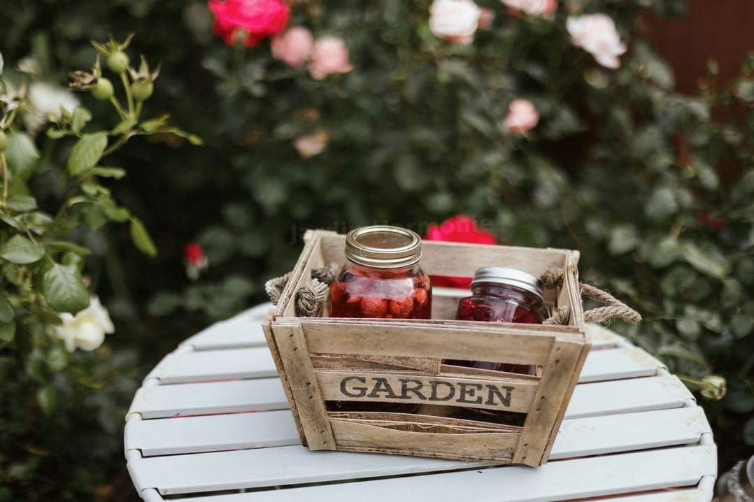 Les plantes faciles à entretenir pour un jardin harmonieux