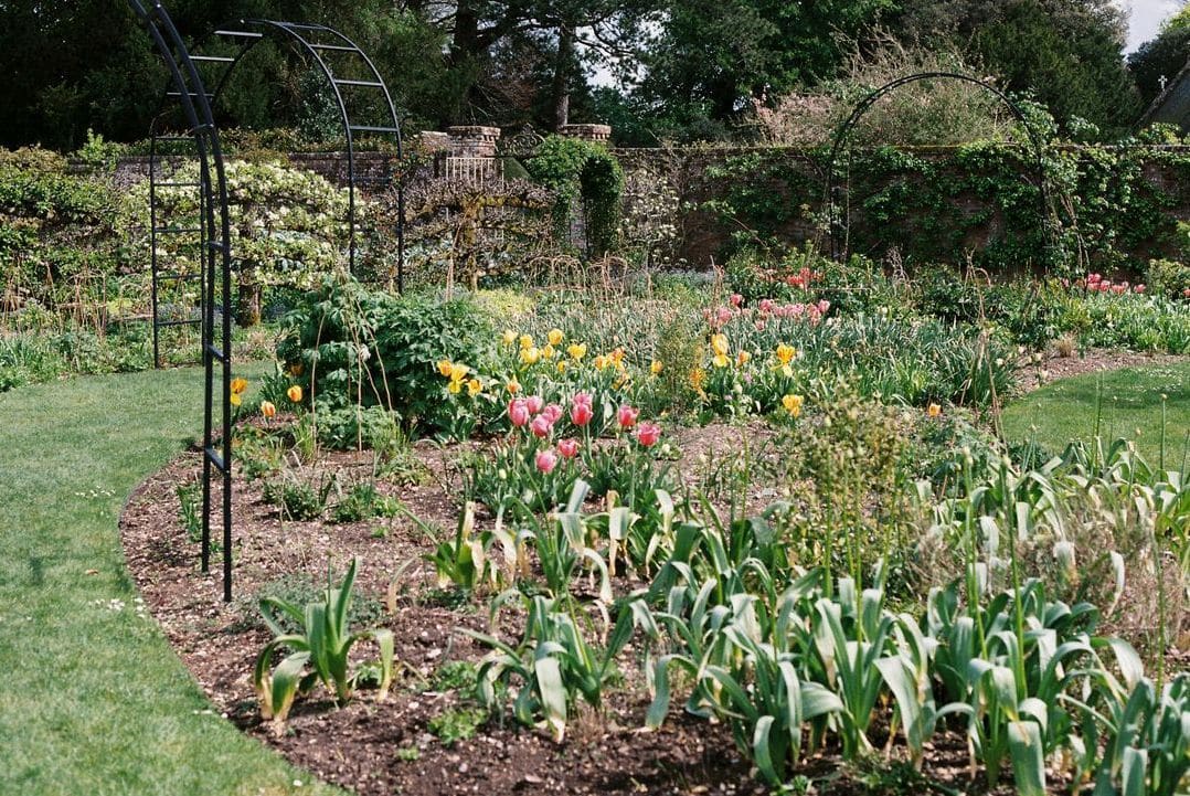 Jardin Harmonie 11