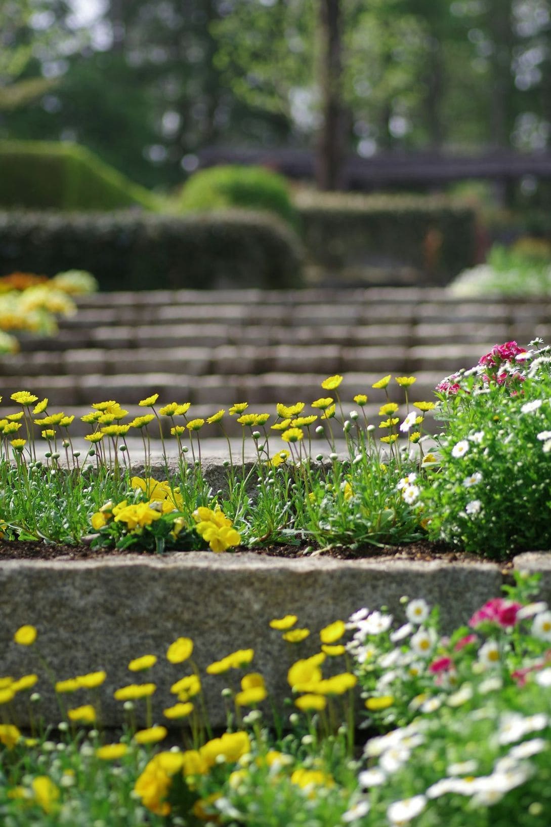 Jardin Harmonie 14