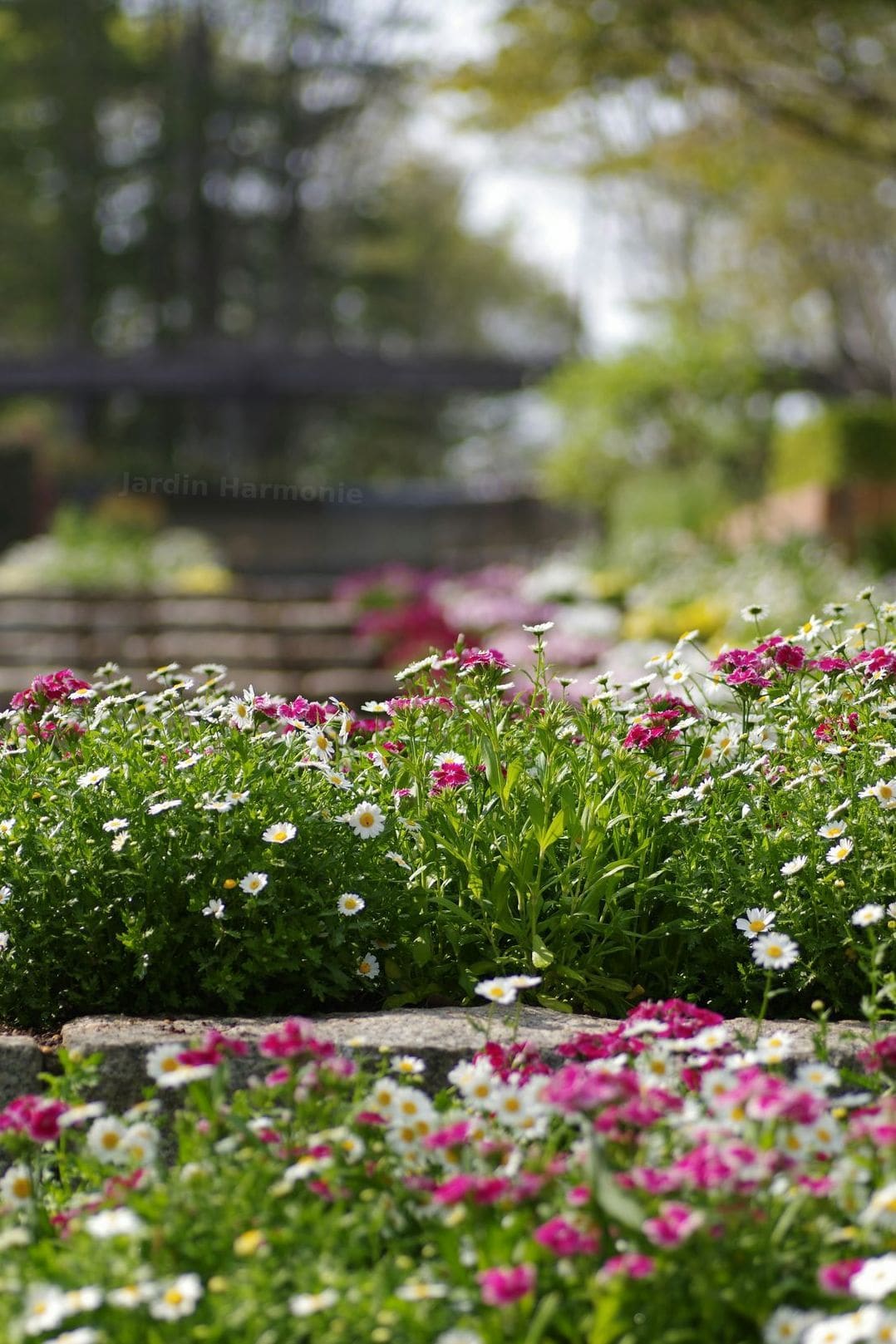 Jardin Harmonie 2