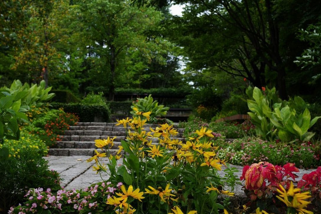 Jardin Harmonie 4