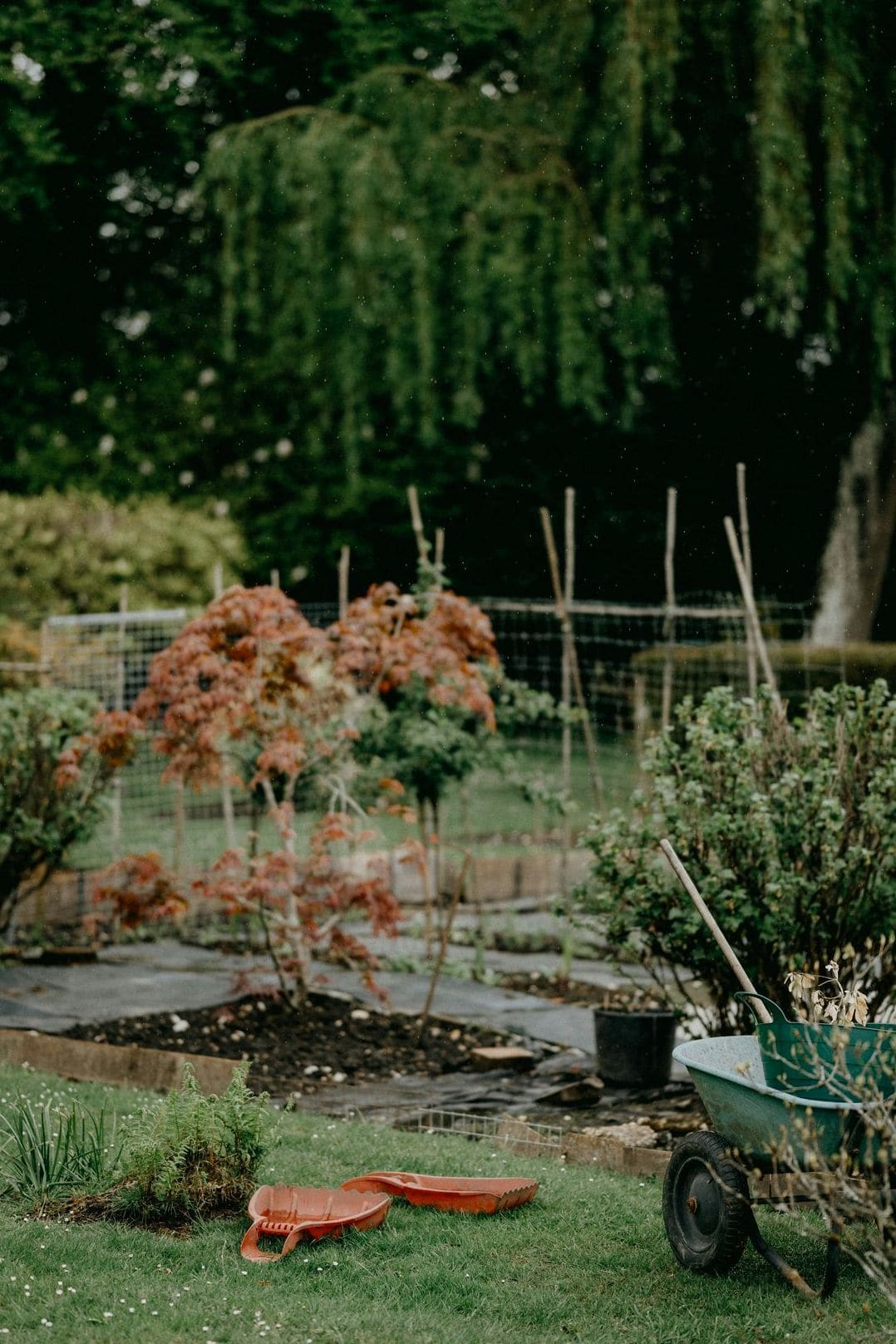Jardin Harmonie 5