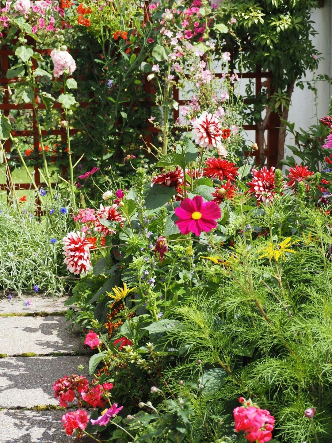 Entretien de jardins et tonte de pelouse
