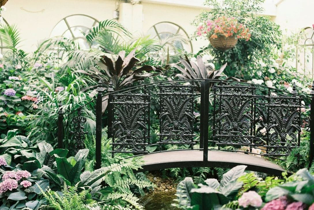 Plantation d'arbres, fleurs et végétaux